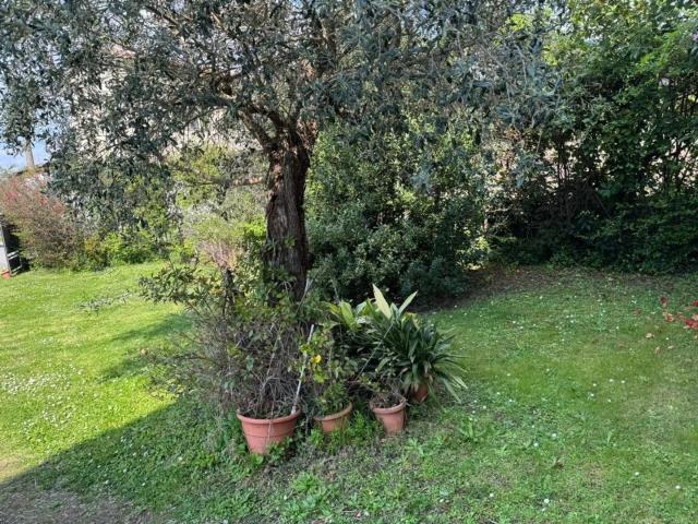 Casa in vendita a Debbia, Montignoso