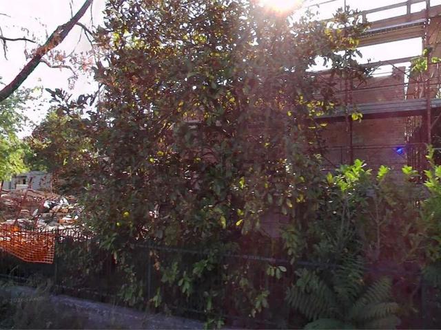 Casa in vendita a Unione delle Terre d'Argine, Carpi