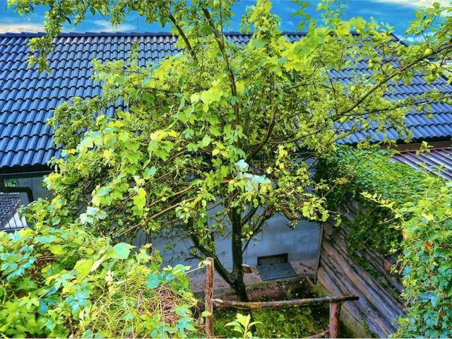 Casa in vendita a Bannio Anzino, Piemonte