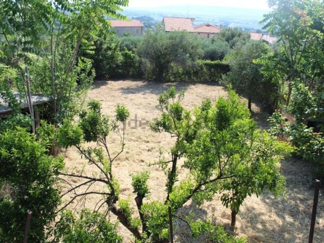 Casa in vendita a Mozzagrogna, Abruzzo