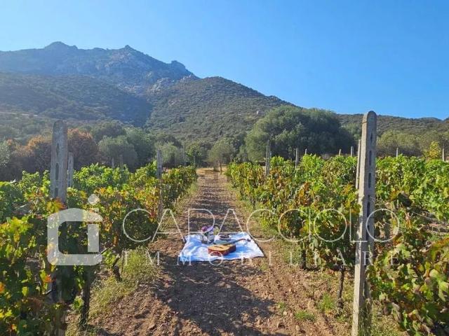 Casa in vendita a San Pantaleo, Sardigna/Sardegna