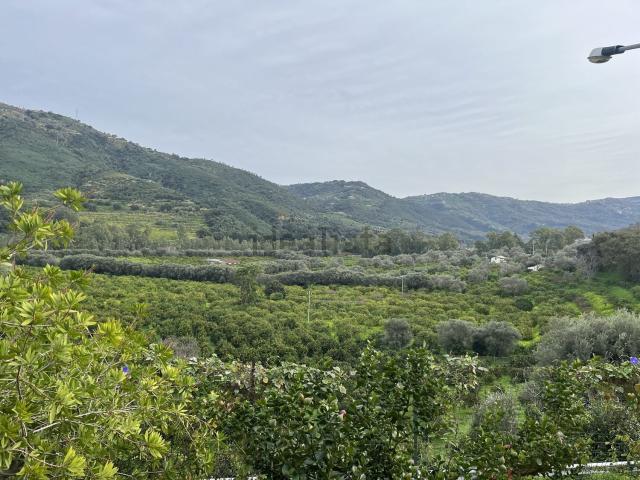 Casa in vendita a Mirto, Sicilia