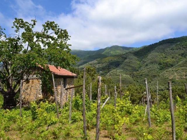 Casa in vendita a Baiardo, Liguria