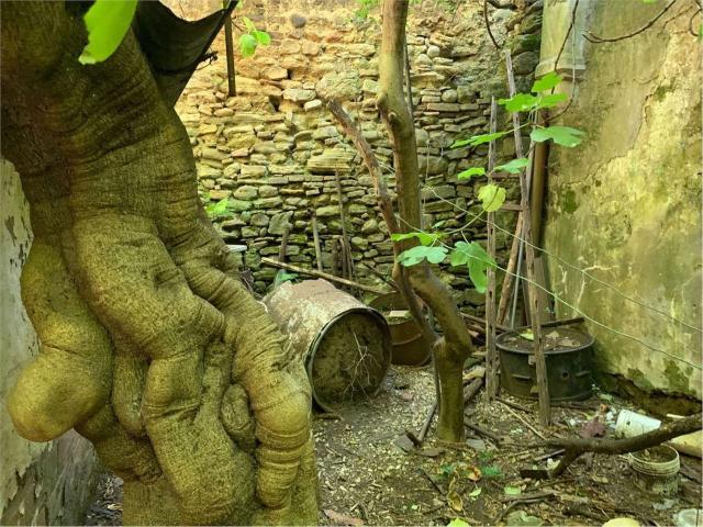 Casa in vendita a Guglionesi, Molise