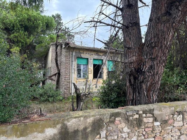 Casa in vendita a Bibbona, Livorno