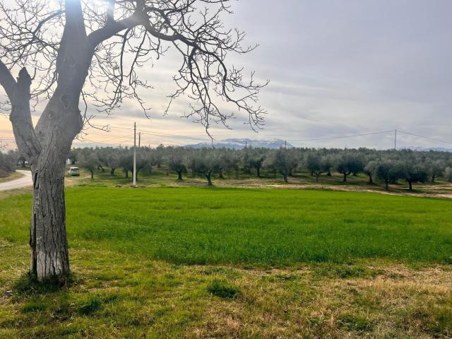 Casa in vendita a Pianella, Abruzzo