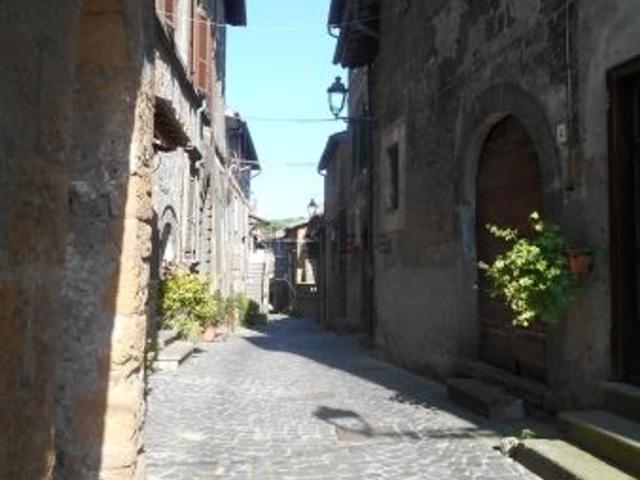 Casa in vendita a Barbarano Romano, Lazio