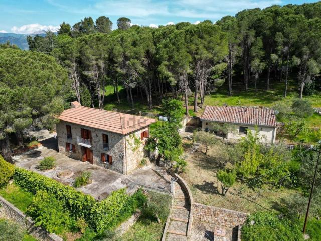 Casa in vendita a Castelbuono, Sicilia