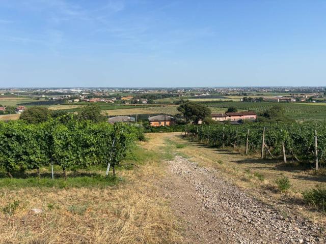 Casa in vendita a La Fredda, Sommacampagna
