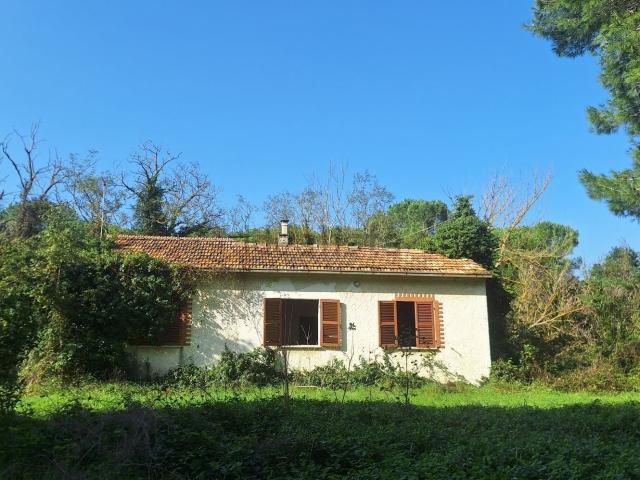 Casa in vendita a Ponte Metauro, Marche