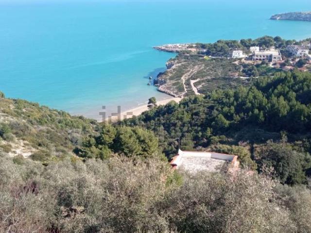 Casa in vendita a Puglia, Foggia