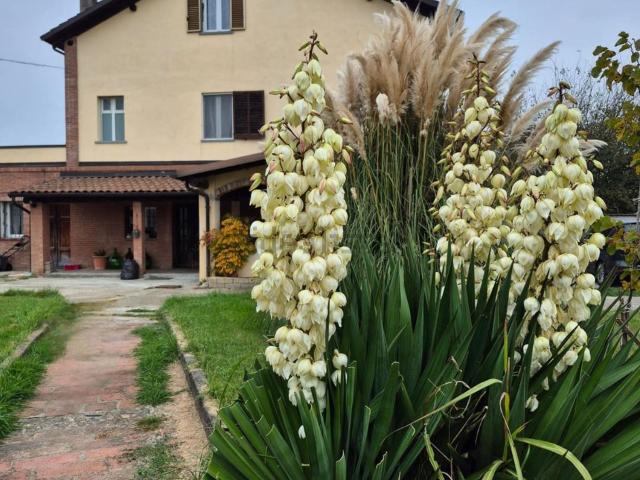 Casa in vendita a Piemonte, Alessandria