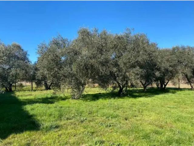 Casa in vendita a Unione dei Comuni Circondario dell'Empolese Valdelsa, Fucecchio