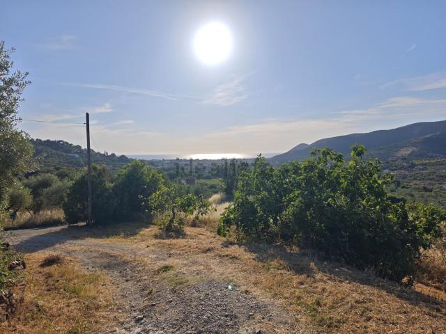 Casa in vendita a Castellabate, Alano