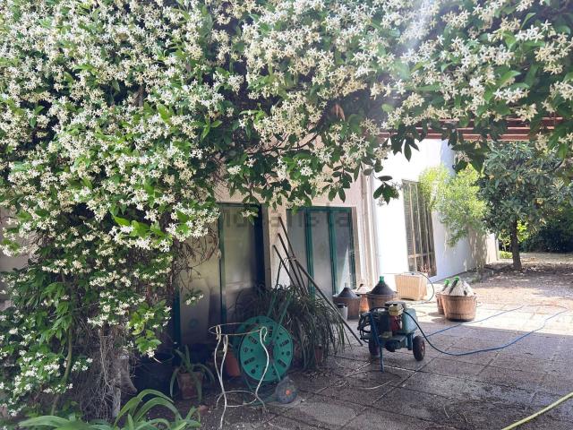 Casa in vendita a Martellago, Veneto