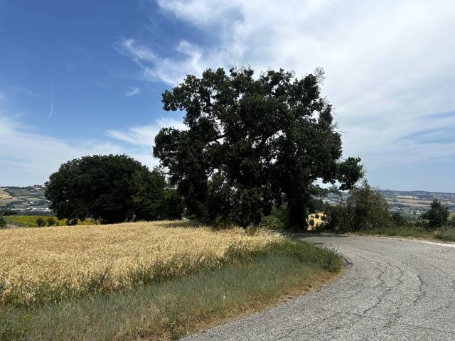 Casa in vendita a Marche, Fermo