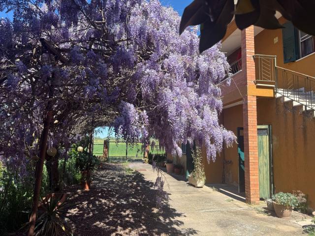 Casa in vendita a Unione di Comuni Montani Colline del Fiora, Manciano