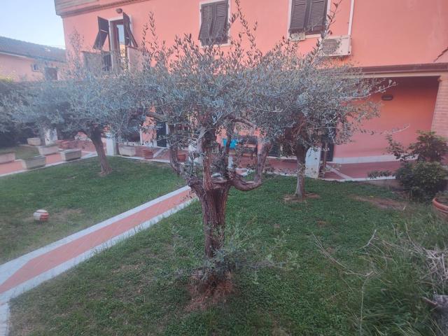 Casa in vendita a Fontia, Carrara