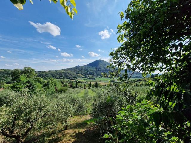 Casa in vendita a Baone, Veneto