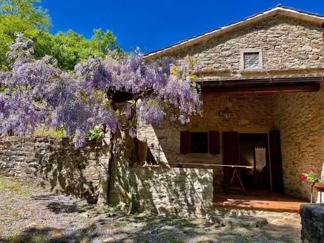 Casa in vendita a Cantagallo, Toscana