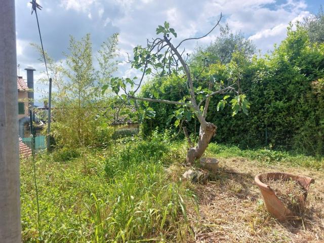 Casa in vendita a Carmignano, Castello