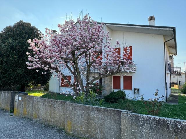 Casa in vendita a Stienta, Veneto