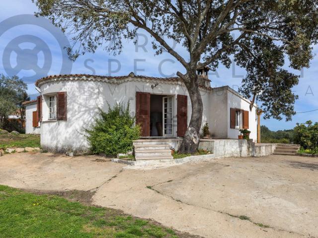 Casa in vendita a San Pantaleo