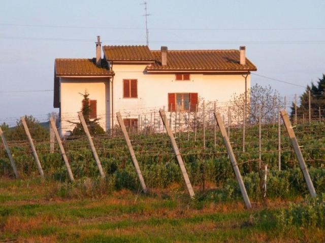 Casa in vendita a San Paolo Di Jesi, Ancona