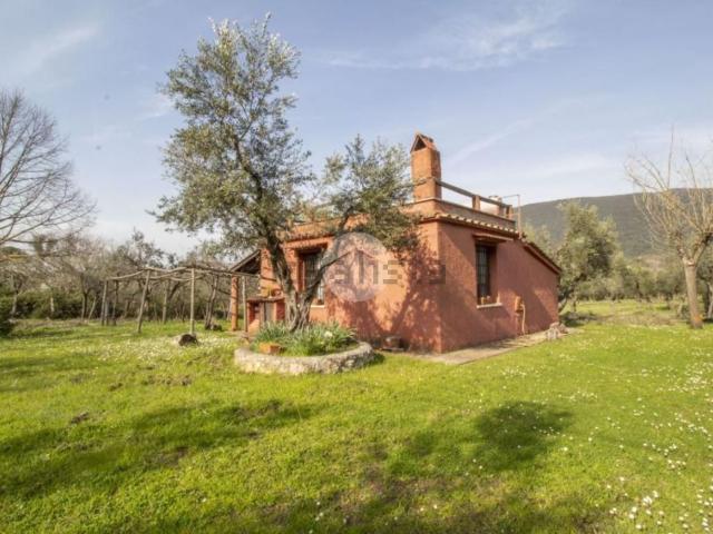 Casa in vendita a Roma Capitale, Lazio