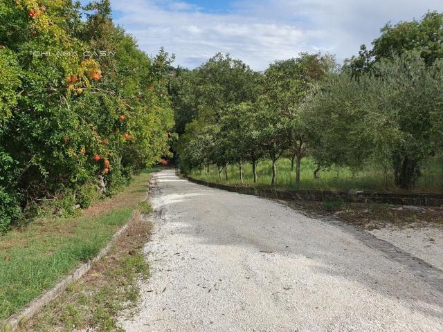 Casa in vendita a Marche, Pesaro E Urbino
