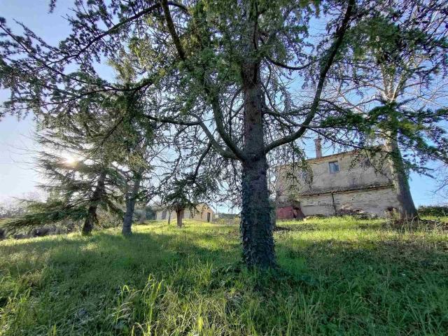 Casa in vendita a Marche, Ancona