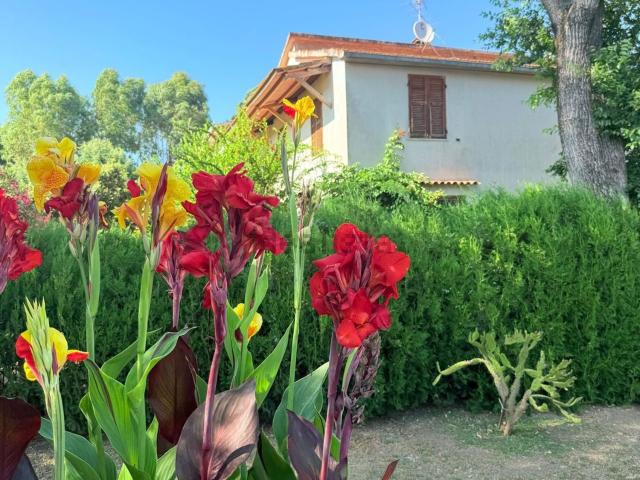 Casa in vendita a Scansano, Toscana