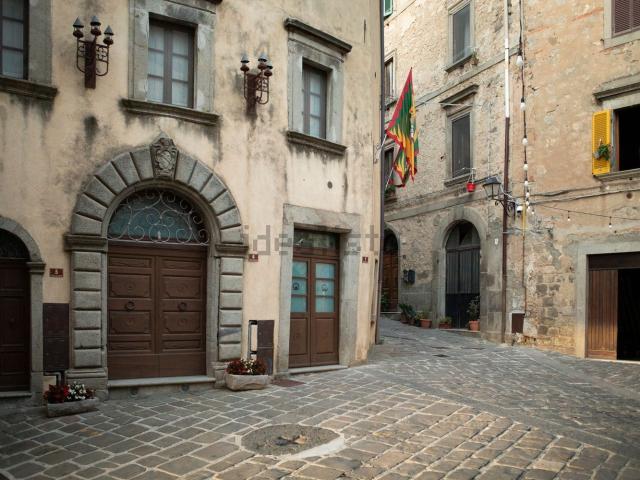 Casa in vendita a Unione dei Comuni Montani Amiata Grossetana, Castel Del Piano