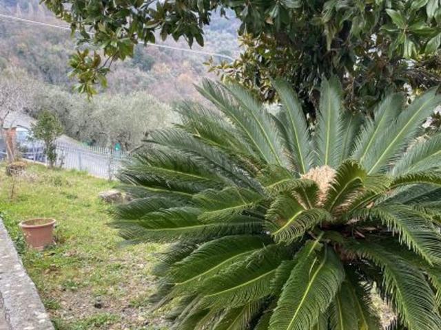 Casa in vendita a Falcinello, Sarzana