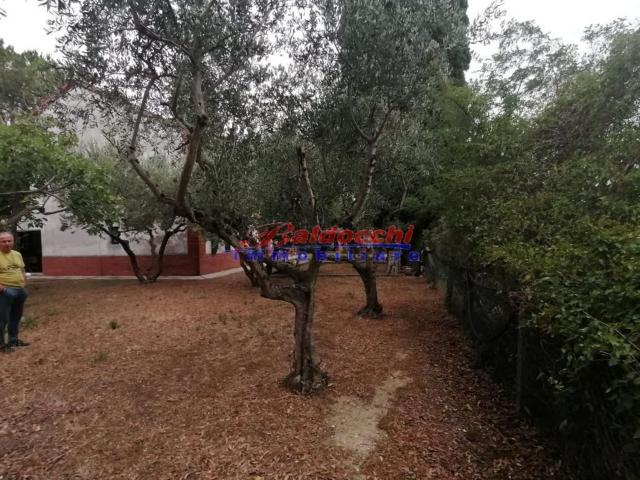 Casa in vendita a Marche, Pesaro E Urbino