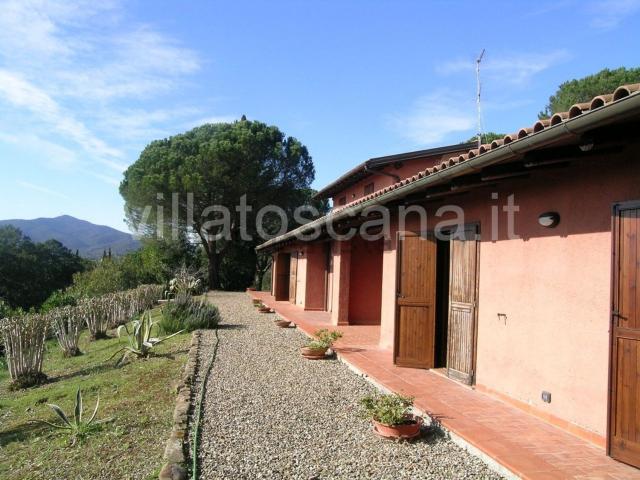 Casa in vendita a Castiglione Della Pescaia, Ampio