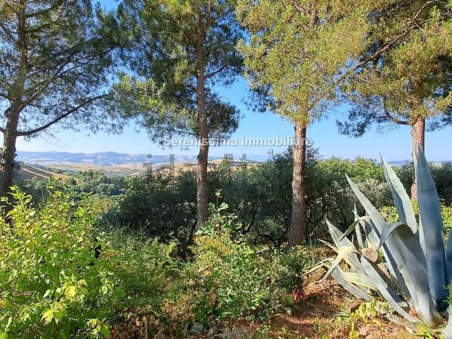 Casa in vendita a Vallefoglia, Marche
