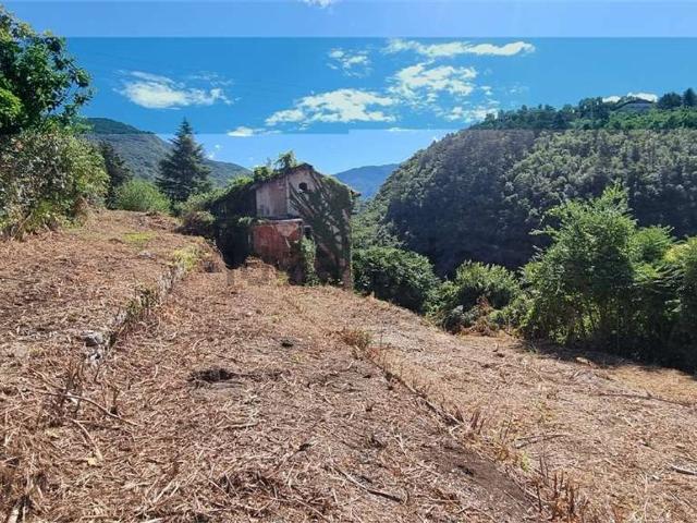 Casa in vendita a Comunità della Vallagarina, Borgo Sacco