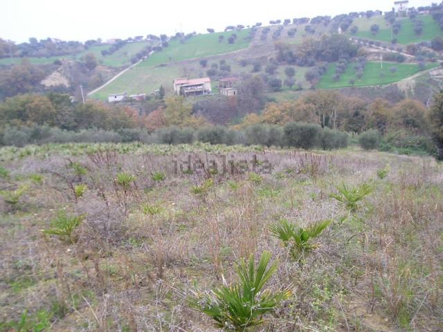 Casa in vendita a Marche, Ascoli Piceno