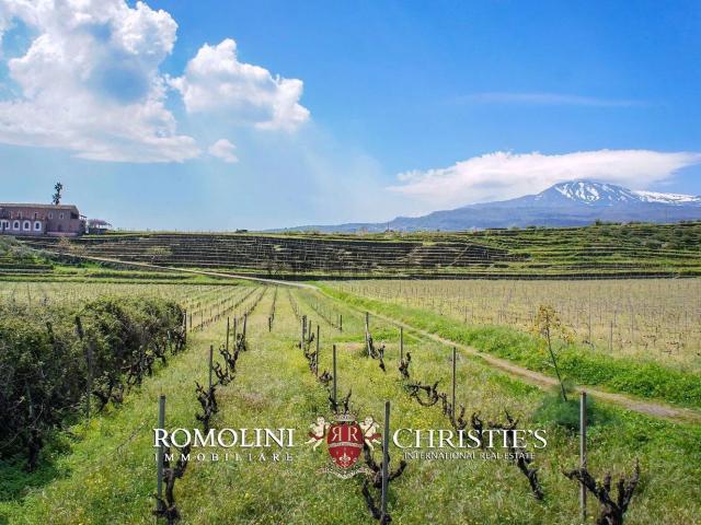 Casa in vendita a Piedimonte Etneo, Sicilia