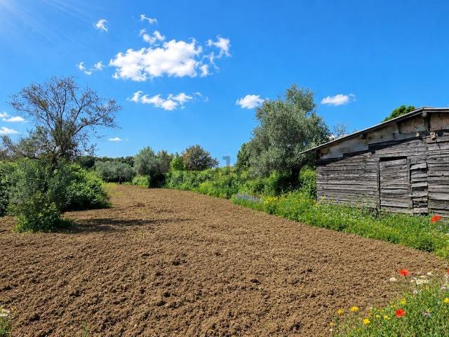 Casa in vendita a Roma Capitale, Lazio