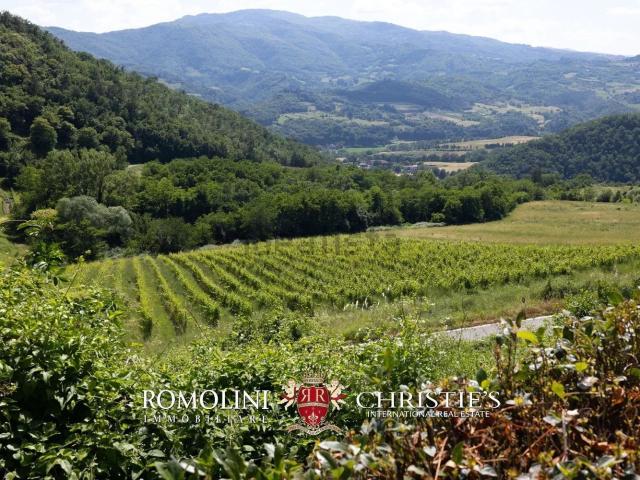 Casa in vendita a Dicomano, Toscana