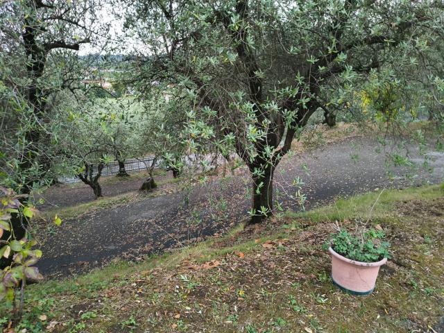Casa in vendita a Menarè, Colle Umberto