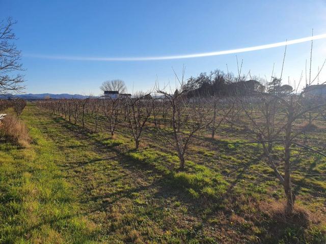 Casa in vendita a Unione dei comuni Valle del Savio, Cesenà