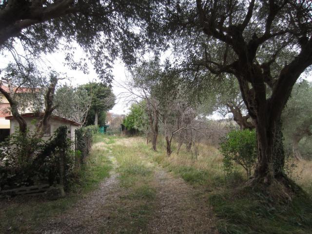 Casa in vendita a Strada, Marche
