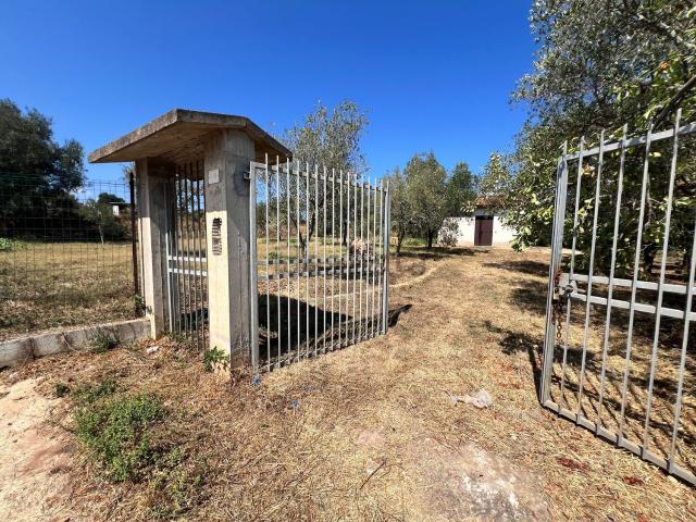 Casa in vendita a Calabria, Vibo Valentia