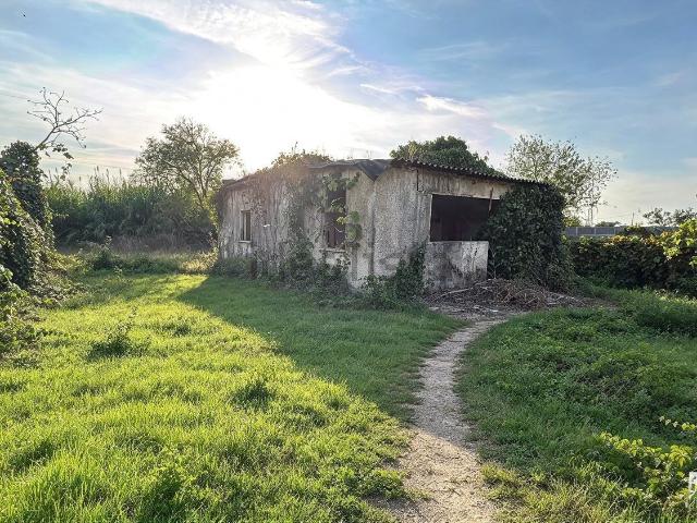 Casa in vendita a Pontinia, Latina