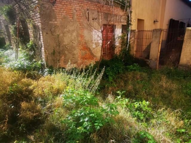 Casa in vendita a Siano, Calabria