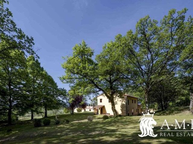 Casa in vendita a Cantalupo, Barberino Di Mugello