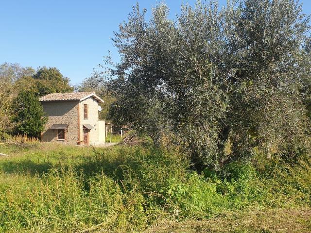 Casa in vendita a San Lorenzo Nuovo, Lazio